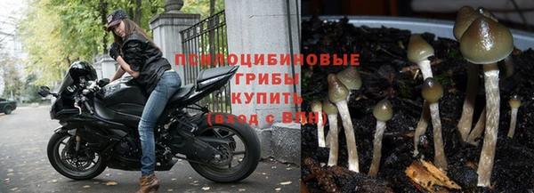 кокаин Новодвинск