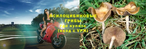 кокаин Новодвинск