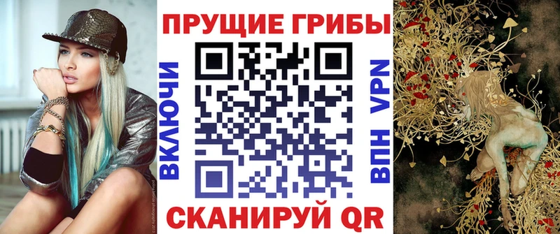 купить наркоту Тбилисская Галлюциногенные грибы Psilocybine cubensis